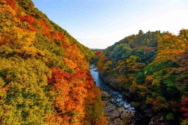★催行決定!残席わずか♪ <新宿発・西船橋発> 紅葉のわたらせ渓谷鉄道・トロッコ列車 と 関東の耶馬渓と称される!錦秋の高津戸峡 ~風味抜群!やまと豚弁当の昼食付き~2